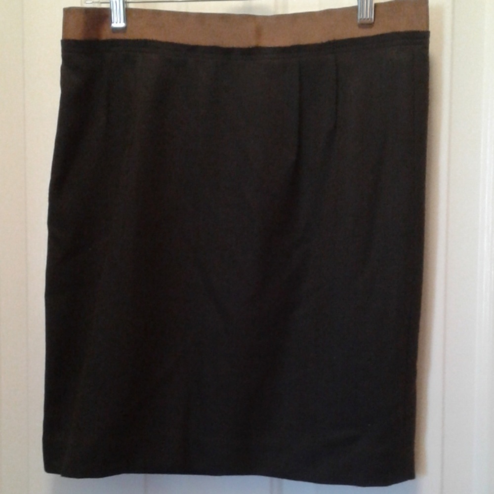 Skirt from Ann Taylor loft